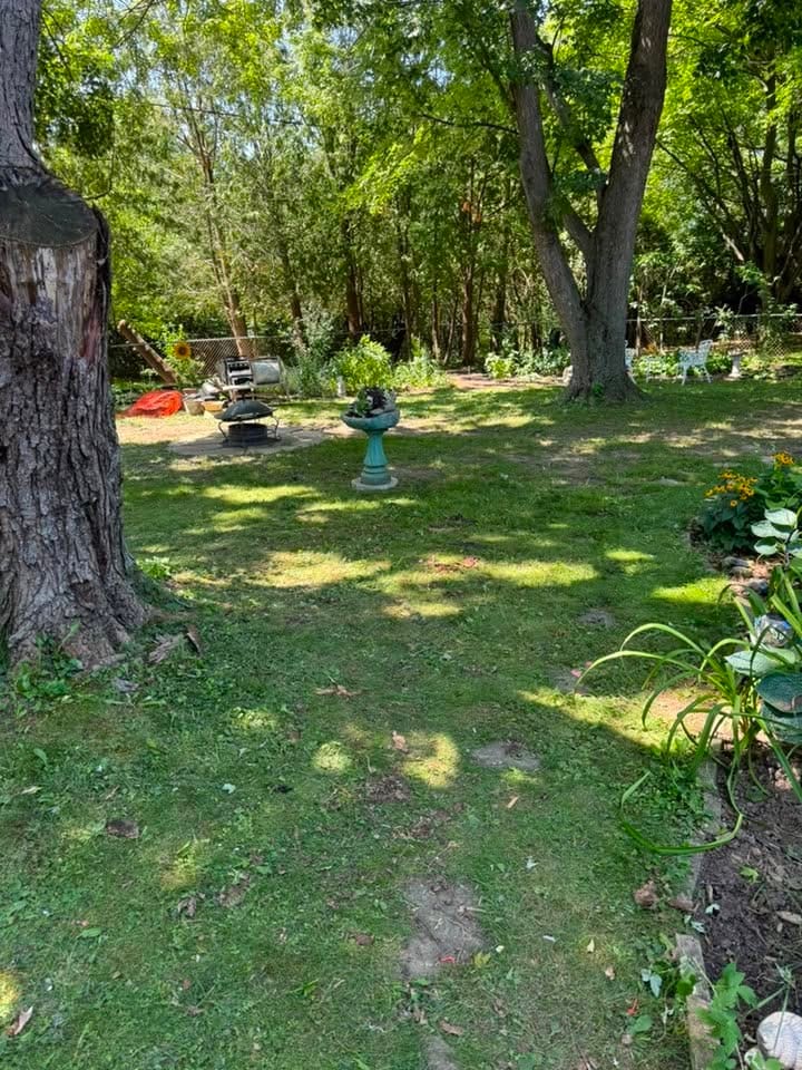 A back garden cleared of drums, bagged junk, a ride-on mower and piled yard waste, back to open lawn