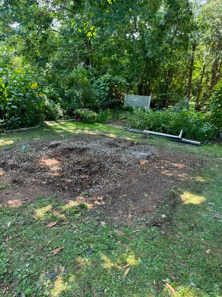 The back corner of a yard where a collapsing red shed stood, now bare ground raked over and ready to seed